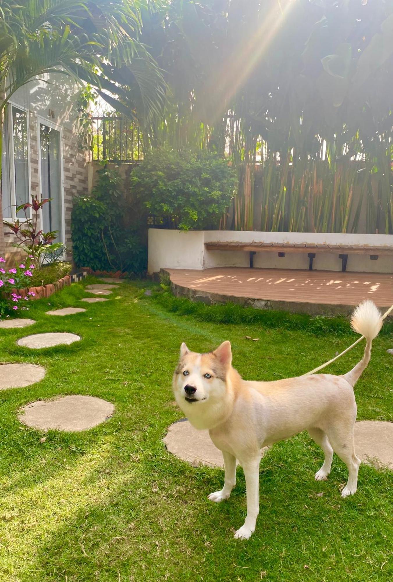 Ho Coc Homestay Extérieur photo