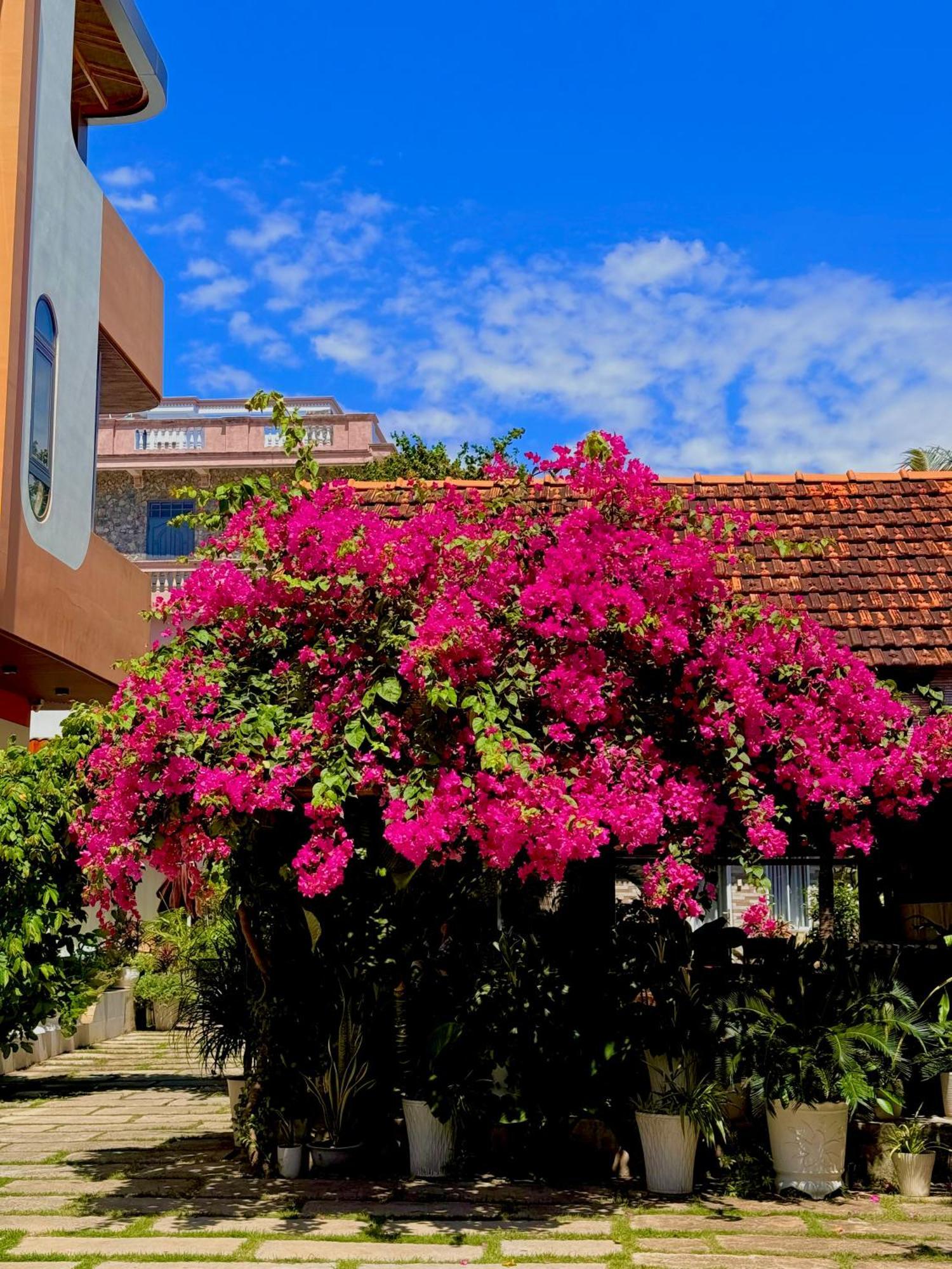Ho Coc Homestay Extérieur photo
