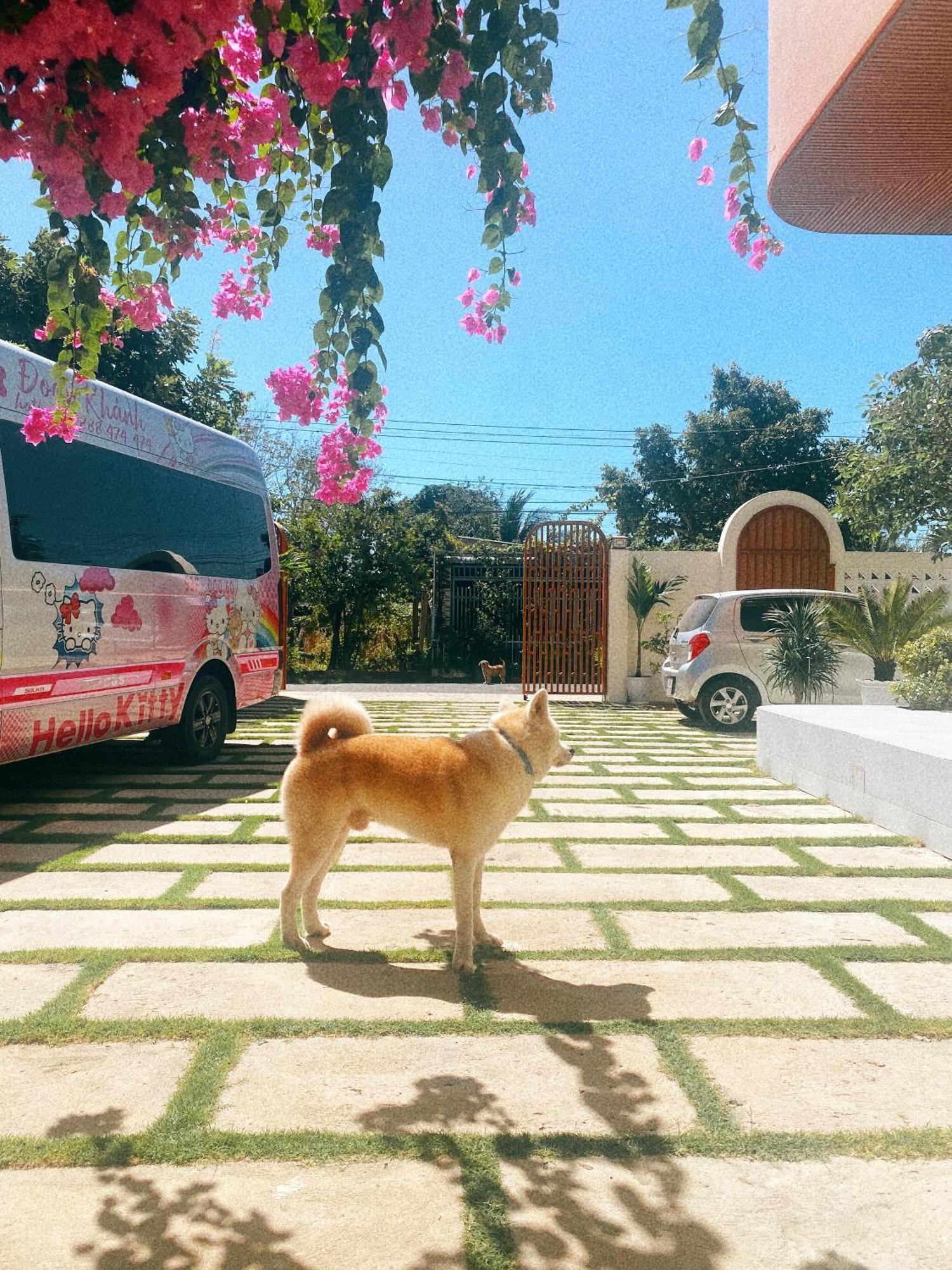 Ho Coc Homestay Extérieur photo