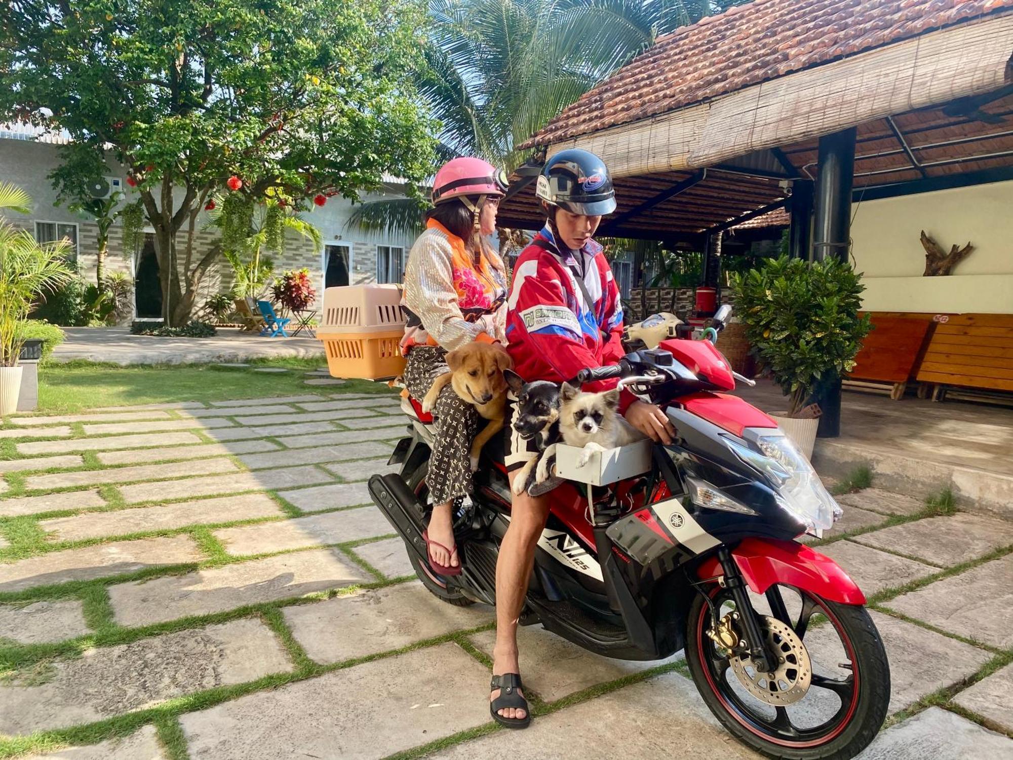 Ho Coc Homestay Extérieur photo